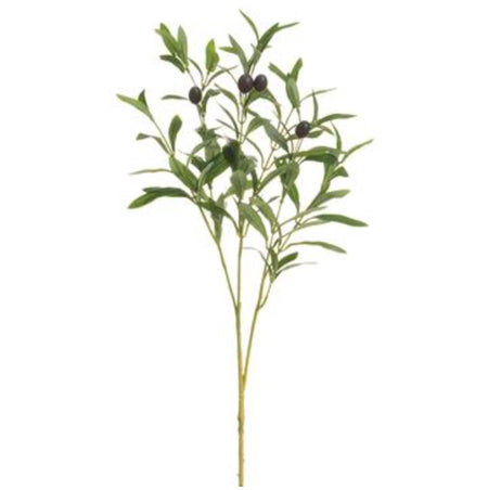 Eucalyptus Pine Pod Pick - 15"