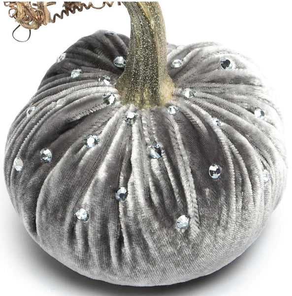 Hot Skwash Gray Velvet Pumpkin