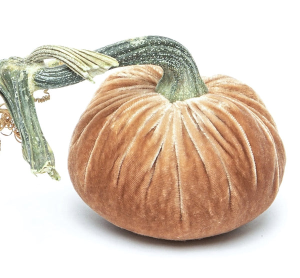 Hot Skwash Latte Velvet Pumpkins