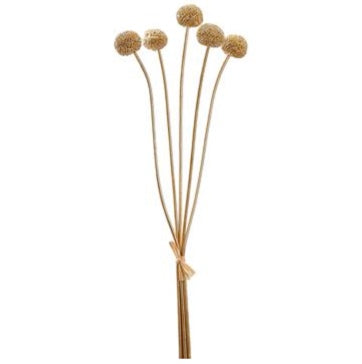 Metallic Billy Button Bundle - 22"