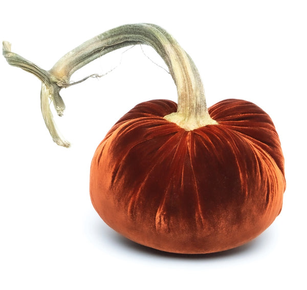 Hot Skwash Fire Velvet Pumpkin