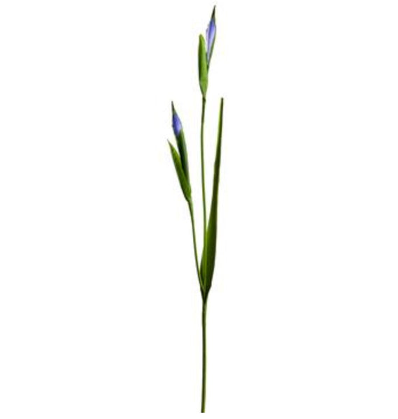 Iris Bud Spray - 31" Purple