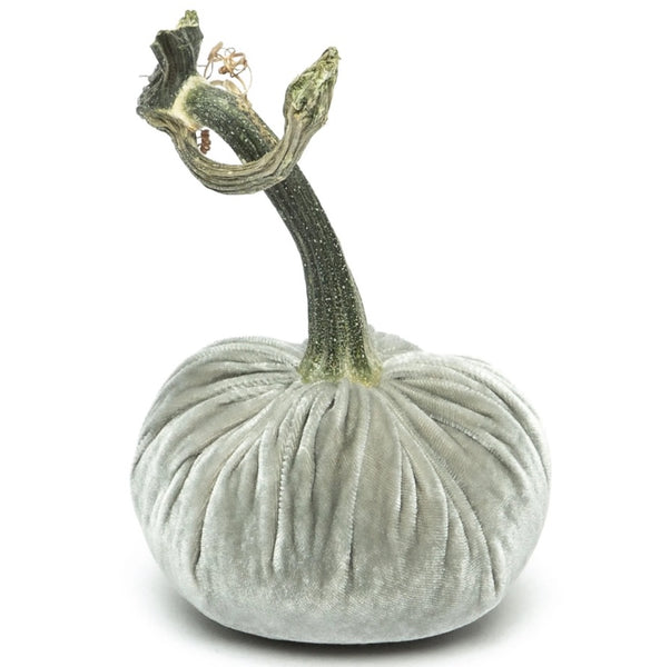 Hot Skwash Spa Velvet Pumpkin