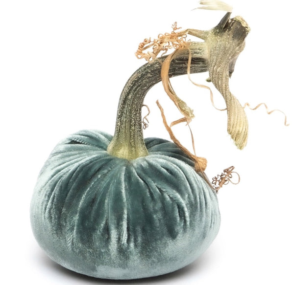 Hot Skwash Wedgewood Velvet Pumpkin