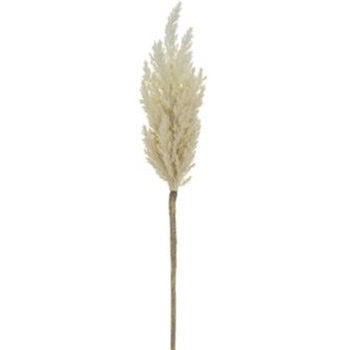 Ivory Pampas Grass Spray - 33"