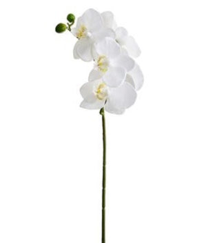 Real-Touch Phalaenopsis Orchid Spray - 30.5"