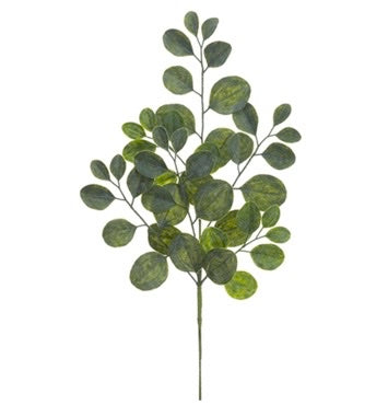 Mini Eucalyptus Stem - 12"