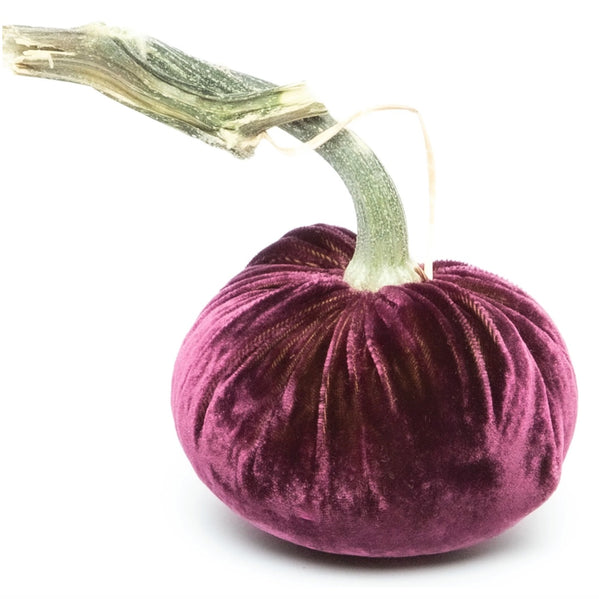 Hot Skwash Eggplant Velvet Pumpkins