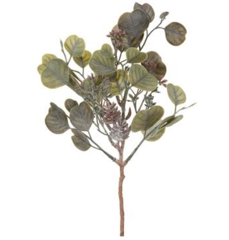 Potted Fiddle Leaf Fig Plant- 17"