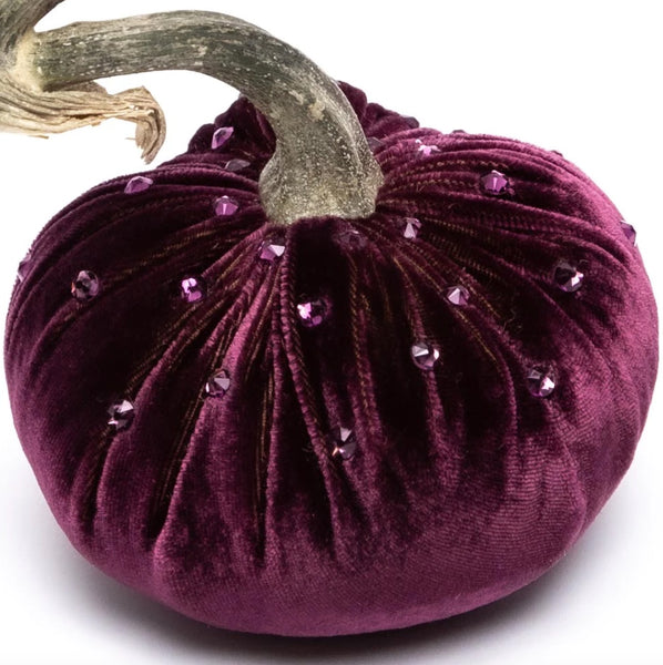 Hot Skwash Eggplant Velvet Pumpkins
