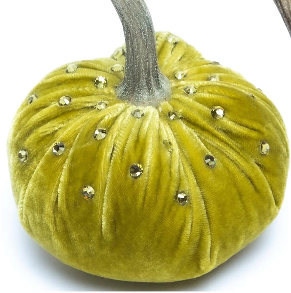 Hot Skwash Leaf Velvet Pumpkin