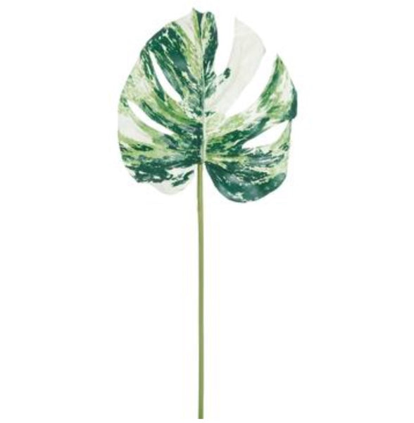 Variegated Monstera Leaf Spray - 27"