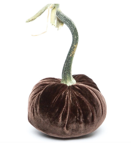 Hot Skwash Chocolate Velvet Pumpkin