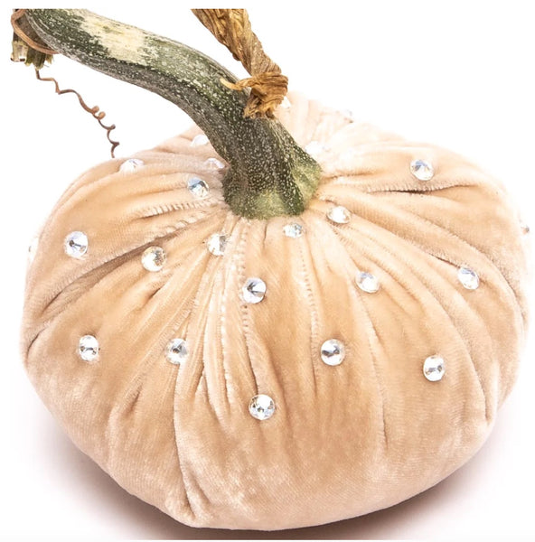 Hot Skwash Bone Velvet Pumpkins