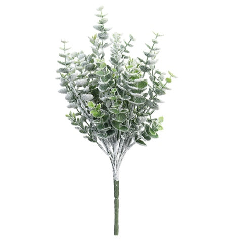 Snowy Eucalyptus Bush