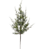 Juniper Berry Spray - 18