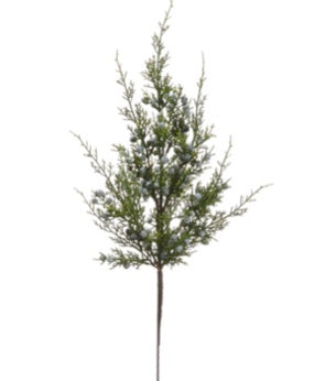 Juniper Berry Spray - 18"