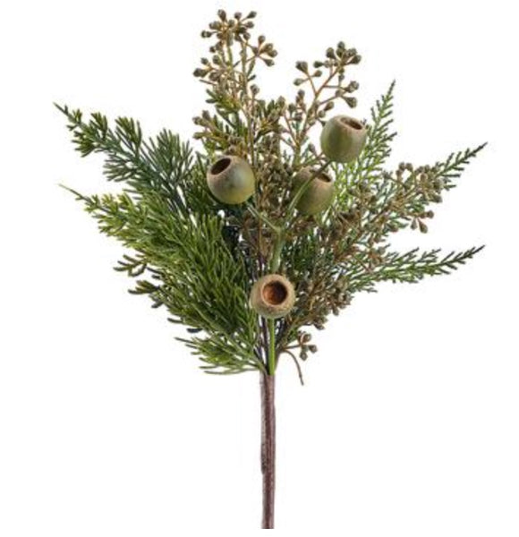 Eucalyptus Pine Pod Pick - 15"