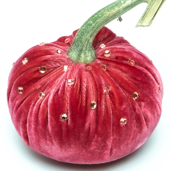 Hot Skwash Guava Velvet Pumpkins