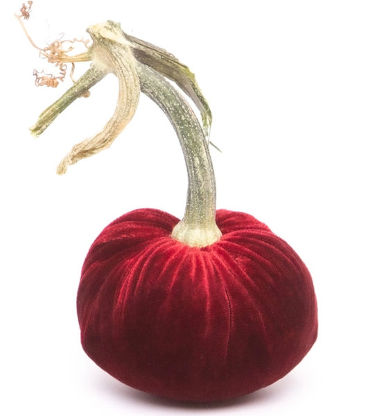 Hot Skwash Red Velvet Pumpkins