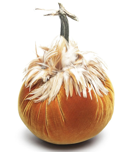 Hot Skwash D'Or Velvet Pumpkins
