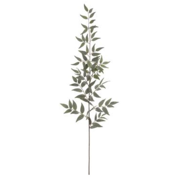 Italian Ruscus Leaf Spray - 44"