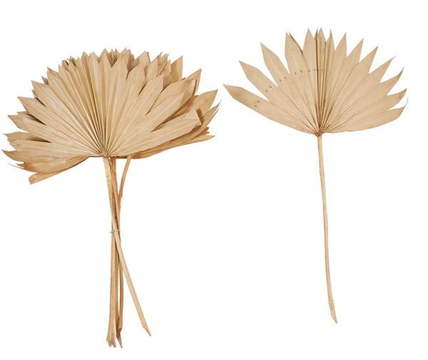 Spear Cut Dried Palm Bunch