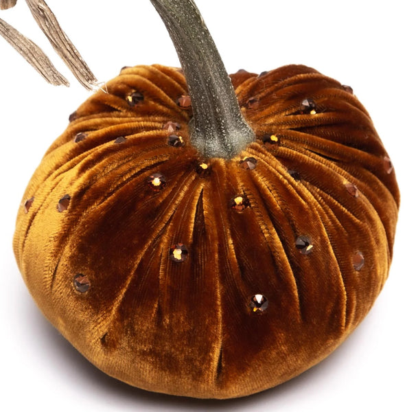 Hot Skwash Bronze Velvet Pumpkin