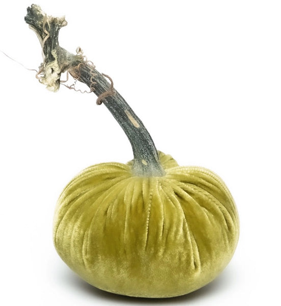 Hot Skwash Leaf Velvet Pumpkin