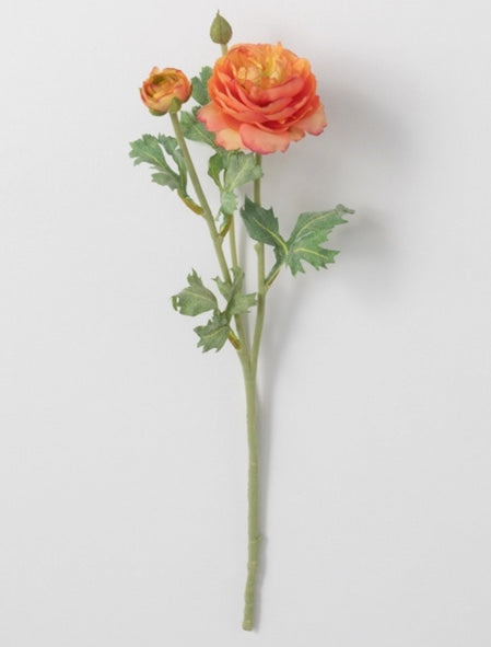 Ranunculus Spray - 19
