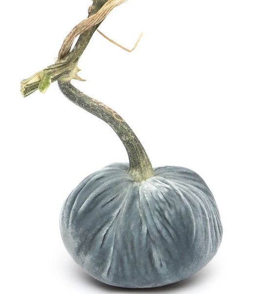 Hot Skwash Lake Velvet Pumpkin