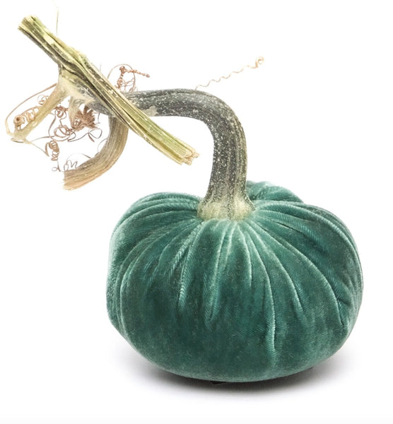 Hot Skwash Ocean Velvet Pumpkins