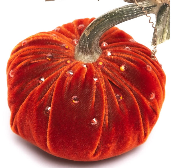 Hot Skwash Apricot Velvet Pumpkin