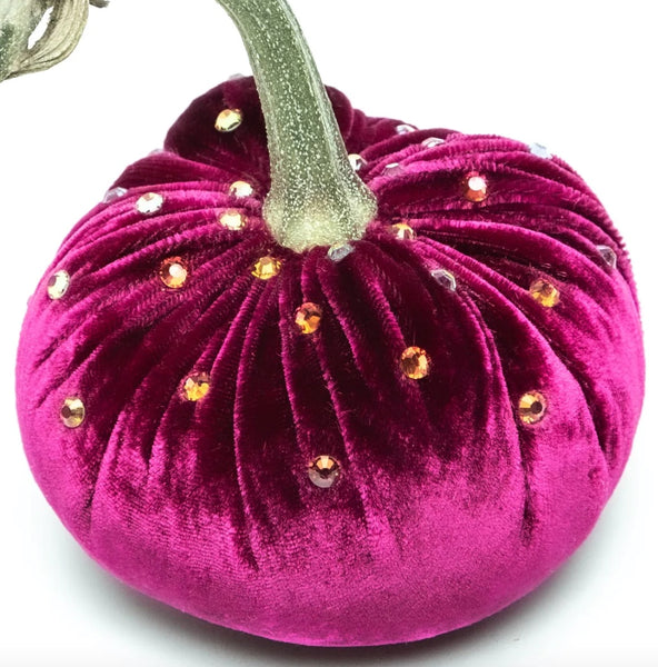 Hot Skwash Magenta Velvet Pumpkin