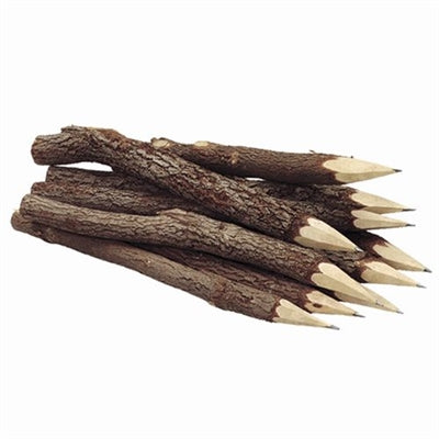 Branch Pencil Sets