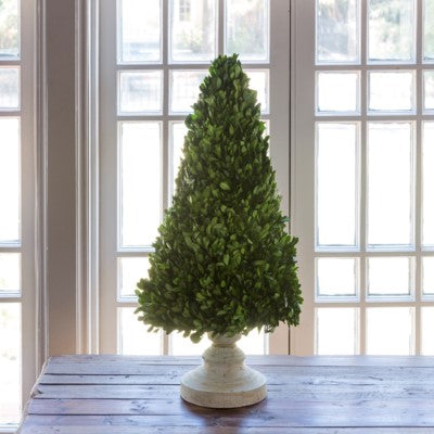 Boxwood Cone Tree on Stand