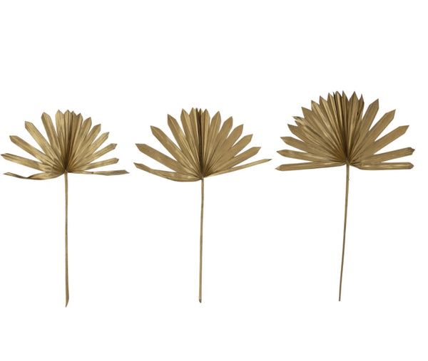 Gold Dried Natural Sun Cut Palm Bunch