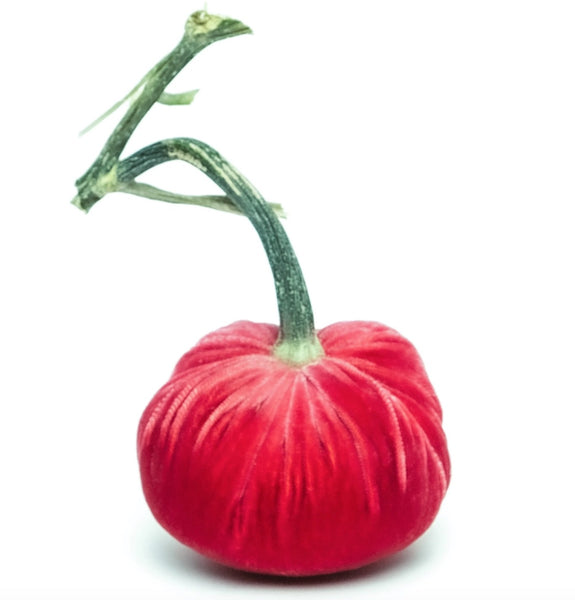 Hot Skwash Guava Velvet Pumpkins