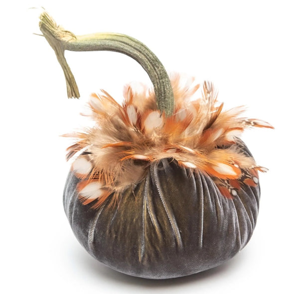 Hot Skwash Graphite Velvet Pumpkin