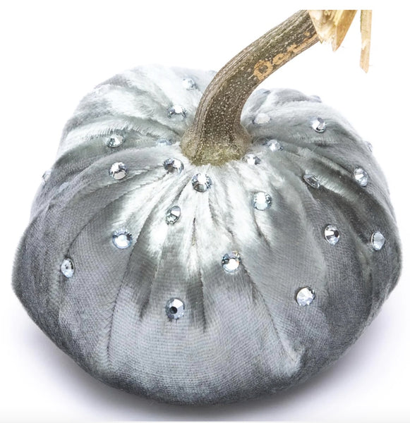 Hot Skwash Blue Ice Panne Velvet Pumpkin