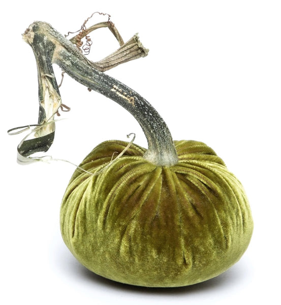 Hot Skwash Cactus Velvet Pumpkins