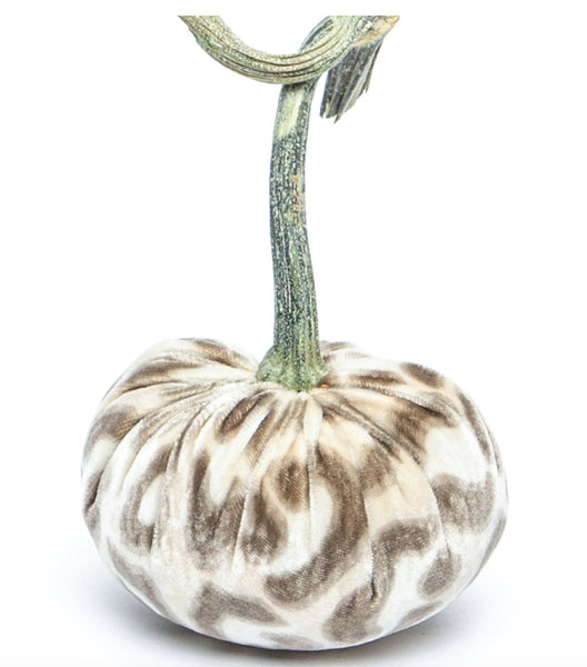 Hot Skwash Snow Leopard Velvet Pumpkin