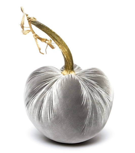 Hot Skwash Gray Velvet Pumpkin