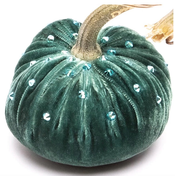 Hot Skwash Ocean Velvet Pumpkins