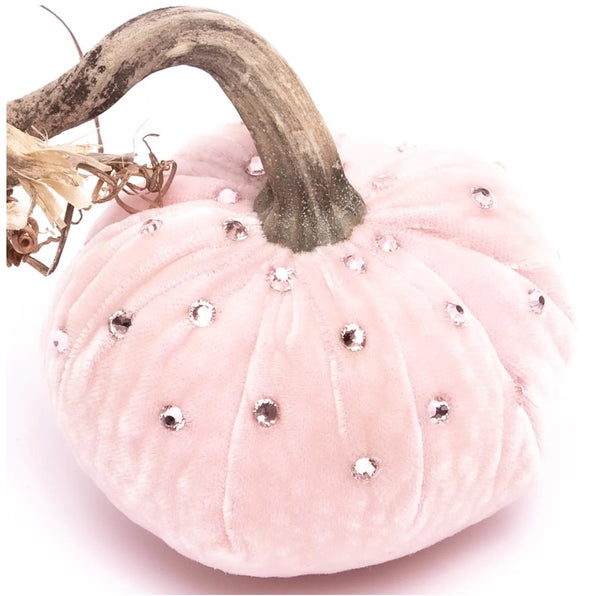 Hot Skwash Blush Velvet Pumpkin