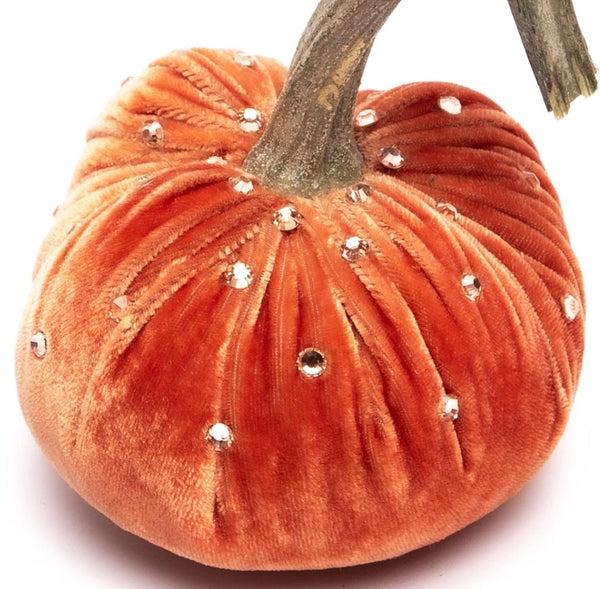Hot Skwash Salmon Velvet Pumpkins