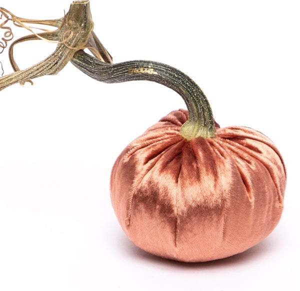 Hot Skwash Copper Panne Velvet Pumpkins