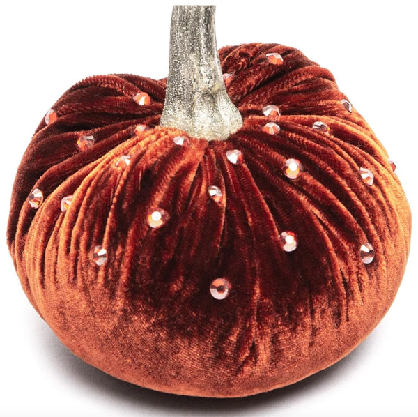 Hot Skwash Fire Velvet Pumpkin