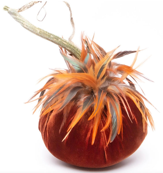 Hot Skwash Fire Velvet Pumpkin