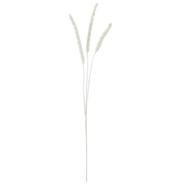 White Foxtail Grass Spray - 40"